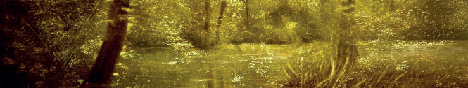 Il senso dell'acqua